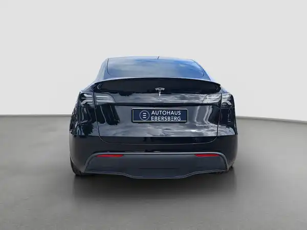 TESLA Model Y Long Range Dual Autopilot LED (6/16)