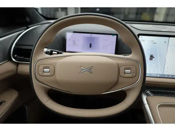 XPENG G9 Performance AWD 2025 (15/29)