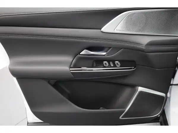 XPENG G9 Performance AWD 2025 (10/31)